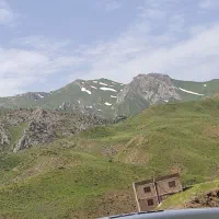 کارگروهی‌بژار