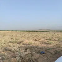زمین کشاورزی
