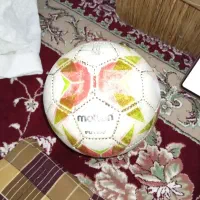 توپ‌سالونی‌وخاکی‌وچمنی