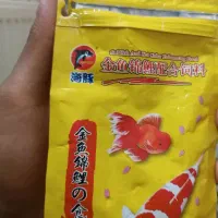 غذای ماهی کوی و گلدفیش و گوشت خواران و گیاهخواران