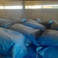 کود شیمیایی سفید ازت