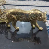 ببر برنز اصل