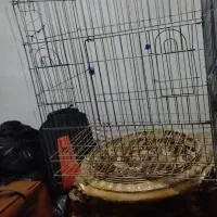 قفس پرنده و رگال لباس