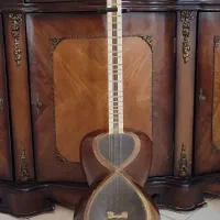تار حرفه ای