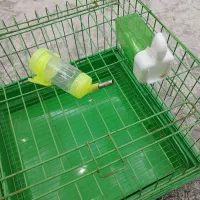 قفسه خرگوش،همستر،خوکچه و انواع موش
