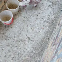 کبوتر