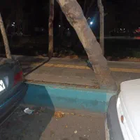 زائر تا مرز عراق