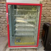دستگاه جوجه کشی