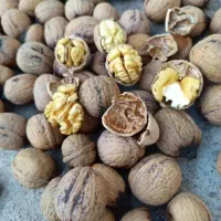 گردو کشمش توت لوبیا نخودعدس لپه بادام برنج گوشت