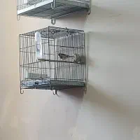 سهره
