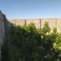 باغچه-400متری-سند-دار-یوسف-آباد-صیرفی