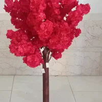 فروش درختچه های شکوفه