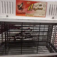 حشره کش برقی