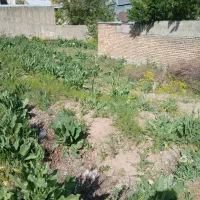فروش زمین دربهترین جای ابعلی