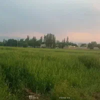 زمین باغی با چشمه شهر ارمغانخانه