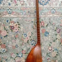 تنبور پاشنه ای استاد رهنما سه مهره ،صحنه