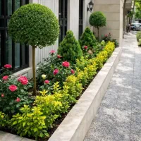 خدمات باغبانی باغچه کاری کاشت گل وگیاه خاک گلدون