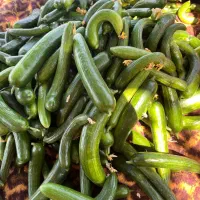 خیار|خوردنی و آشامیدنی|ارومیه, |دیوار