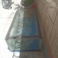 اکواریوم بزرگ
