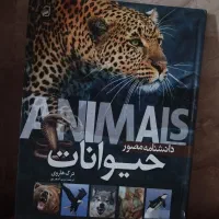 کتاب|کتاب و مجله آموزشی|لردگان, |دیوار