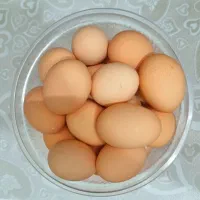 تخم مرغ رسمی