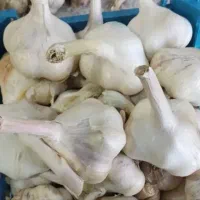 سیر همدان