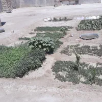 خاک باغچه