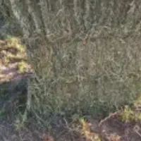 فروش