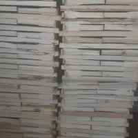 قاب زنبور درجه یک