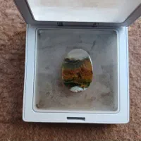 شجر کلکسیونی و تکرار نشدنی چهار فصل