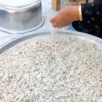 رشته آش و رشته پلویی