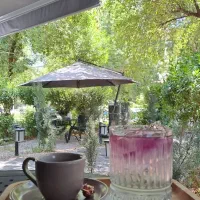 استخدام باریستا و کمک بارستا در کافه
