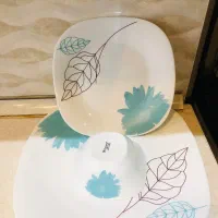 سرویس آرکوپال ۱۲ نفر
