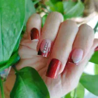 تخصصی زیبایی و همکاری همه لاینها پک کامل عروس 20