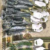 تسبیح