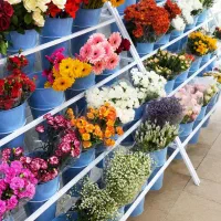 استند گل و گلدان فلزی (شلف نمایش گلدان)