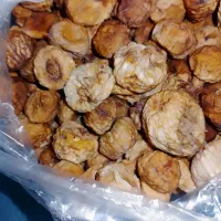خشکبارانجیر خشک