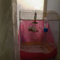 قفس پرنده وفنچ