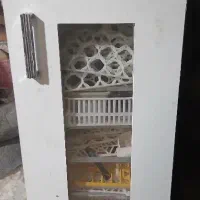 دستگاه جوجه کشی