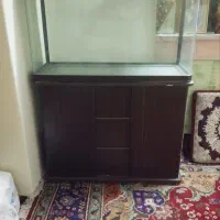 آکواریم اصلی شرکتی ماهیران