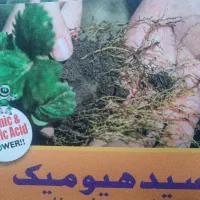 اداری