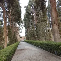 محوطه سازی باغ و حیاط