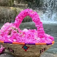 تور لحظه اخری جمعه کاشان