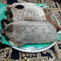 دو عدد خیگ محلی