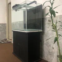 اکواریوم شرکتی و کمد زیر قیمت بازار
