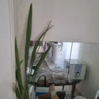 آینه قدی