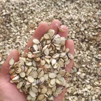 تخم هندوانه اجیلی درجه یک ۳۹۰