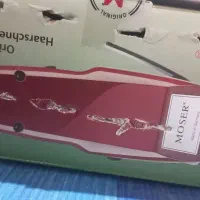 فروش  موز قرمز اصلی