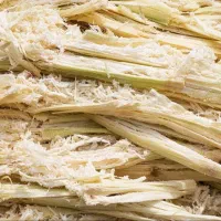 خریدار باگاس (تفاله نیشکر) الیاف نیشکر