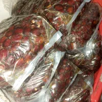 خرمای مرداسنگ آفتاب دیده